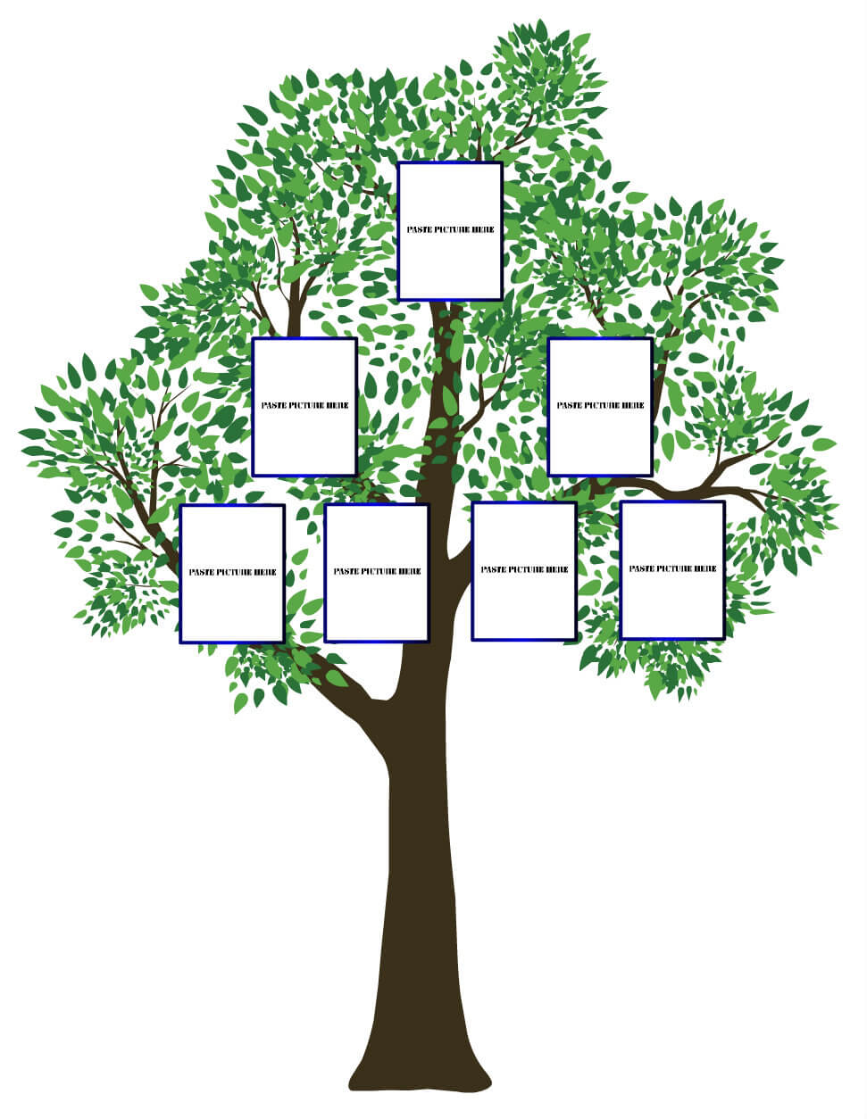 Three Generation Family Tree Templates Images – Clip Art Library Pertaining To Blank Family Tree Template 3 Generations