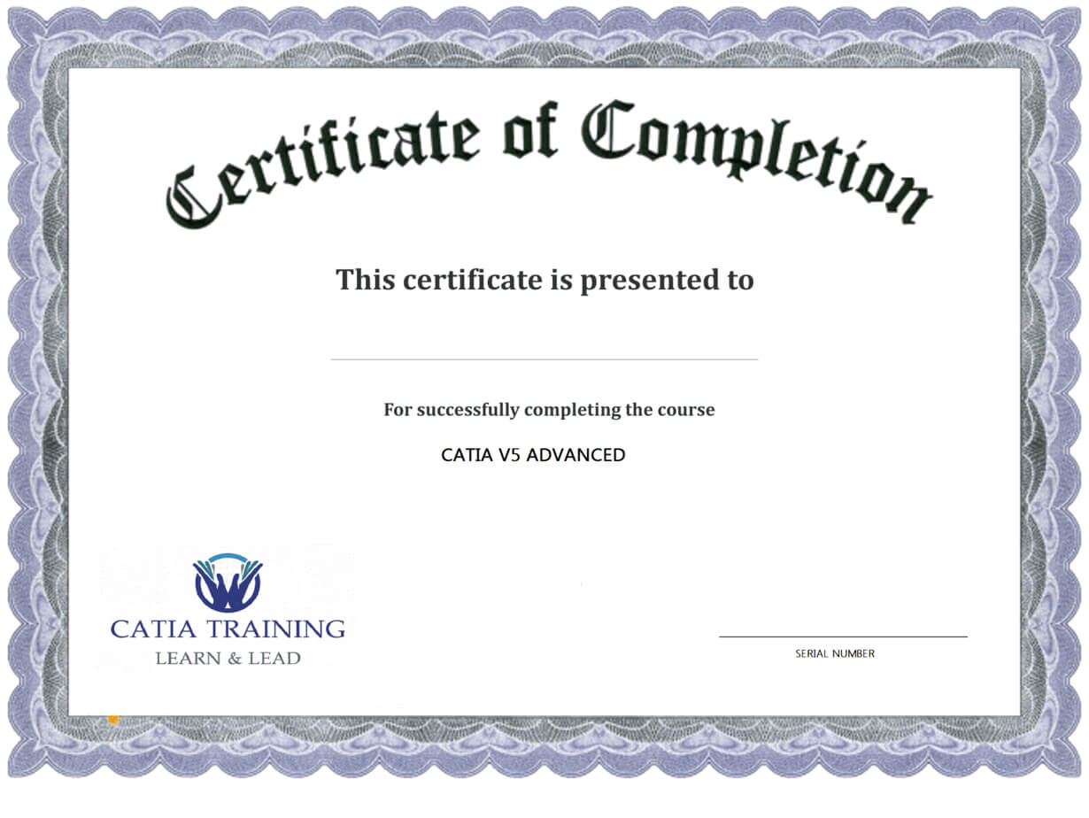 Training Completion Certificate Sample – Tunu.redmini.co With Regard To Certificate Of Participation Template Doc