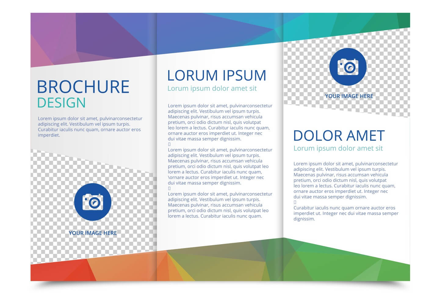 Tri Fold Brochure Vector Template – Download Free Vectors Within 3 Fold Brochure Template Free