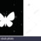 White Silhouette Of Butterfly Isolated On Black Background with regard to Butterfly Labels Templates